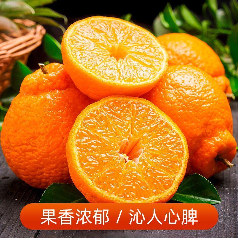 四川春见耙耙柑新鲜应季时令水果当季整箱批发