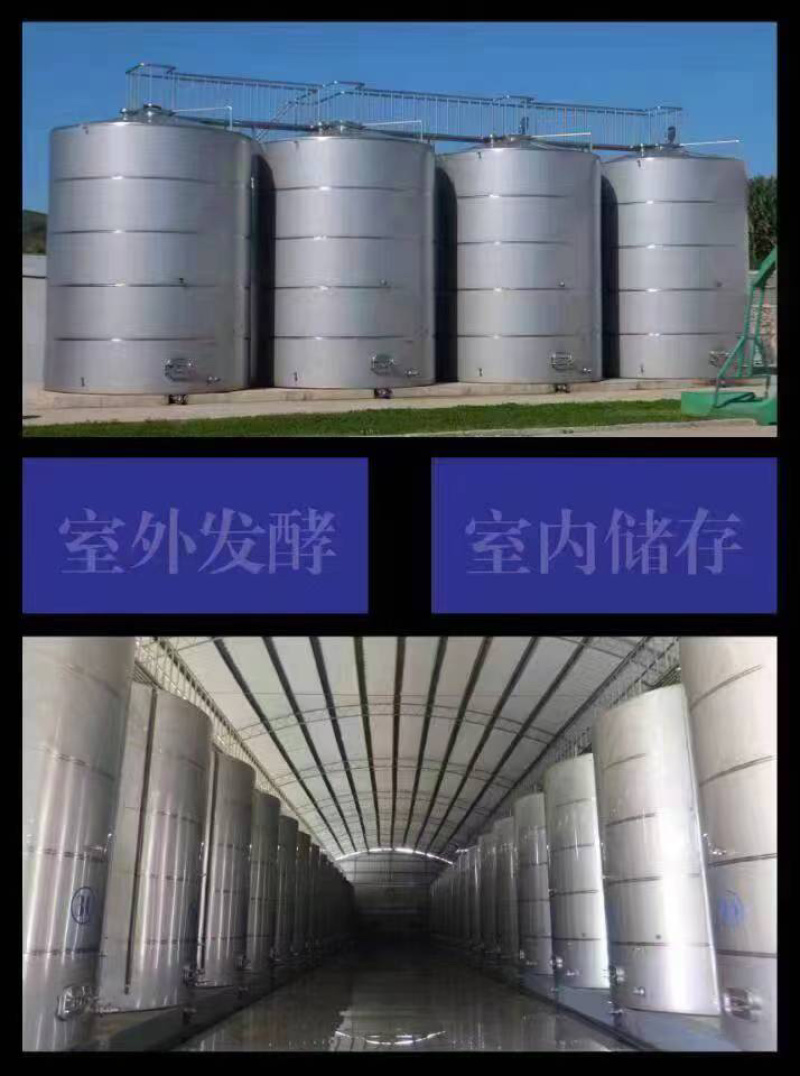 葡萄酒