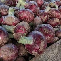 精品紫红皮洋葱，大量上市中，现挖现卖，保质保量