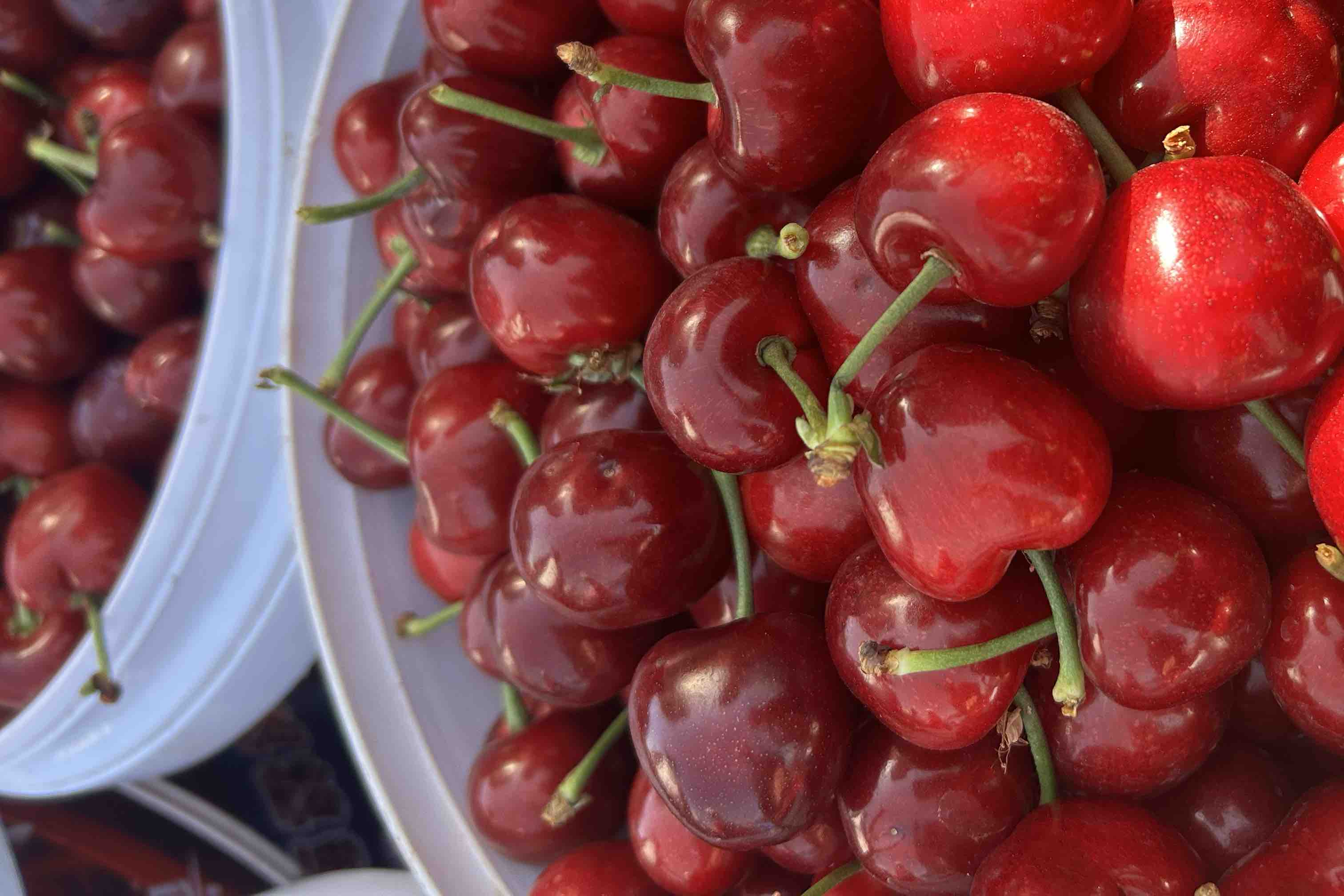 一盘摆放美观的美早樱桃,色泽诱人,适合餐桌或礼品展示 美早樱桃果盘展示