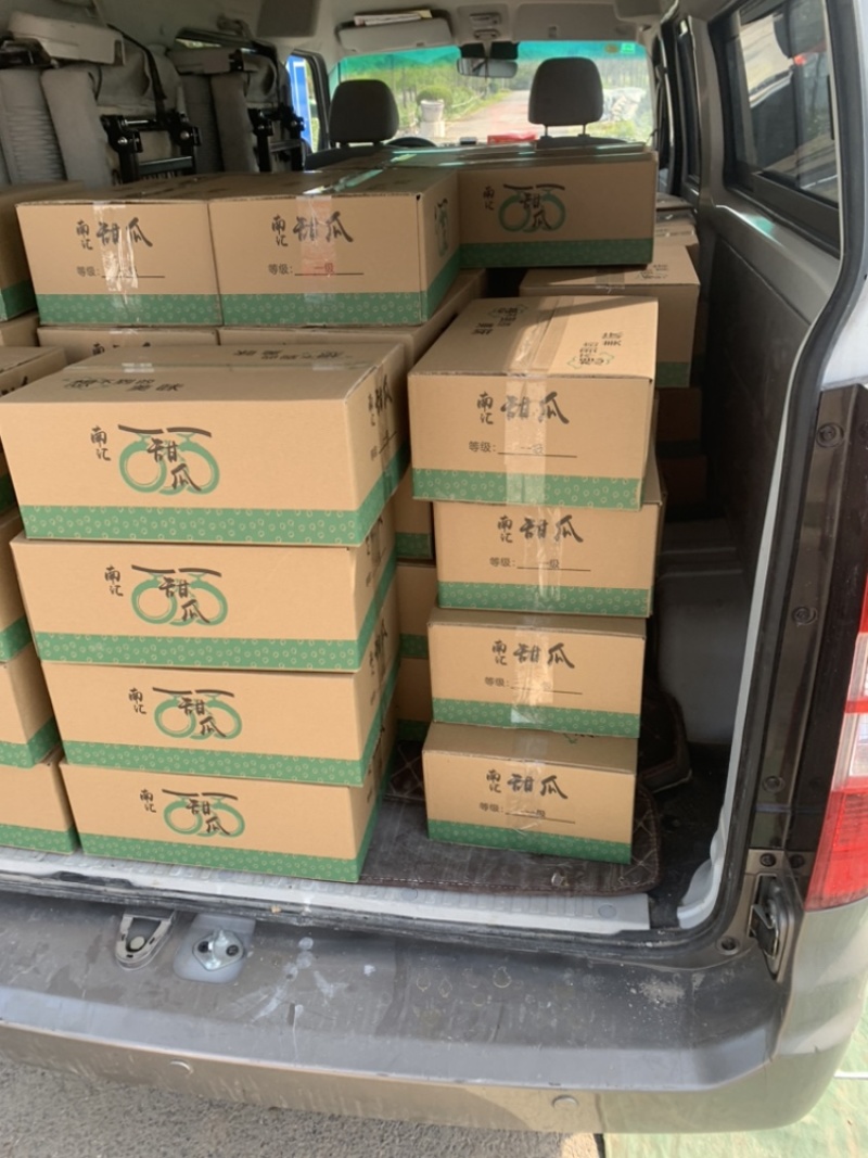 头茬南汇玉菇甜瓜，量大从优