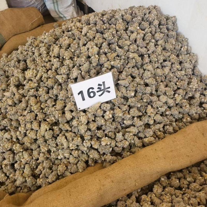云南文山三七田七金不换软黄金新货上市农家自产帮磨粉包邮