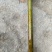 花竹红香妃斑竹