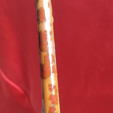 花竹红香妃斑竹