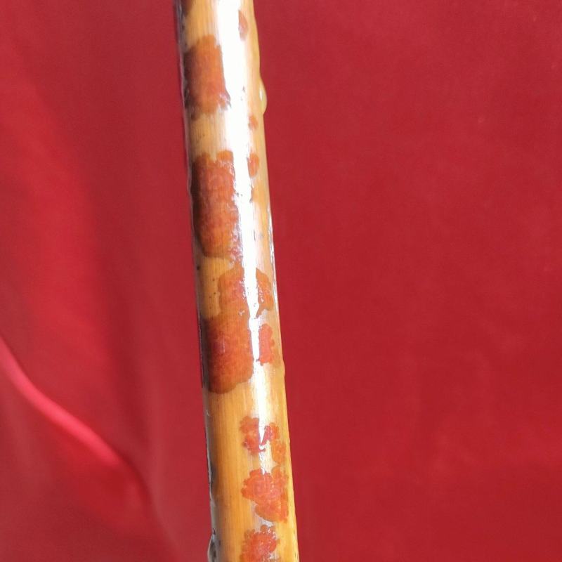 花竹红香妃斑竹