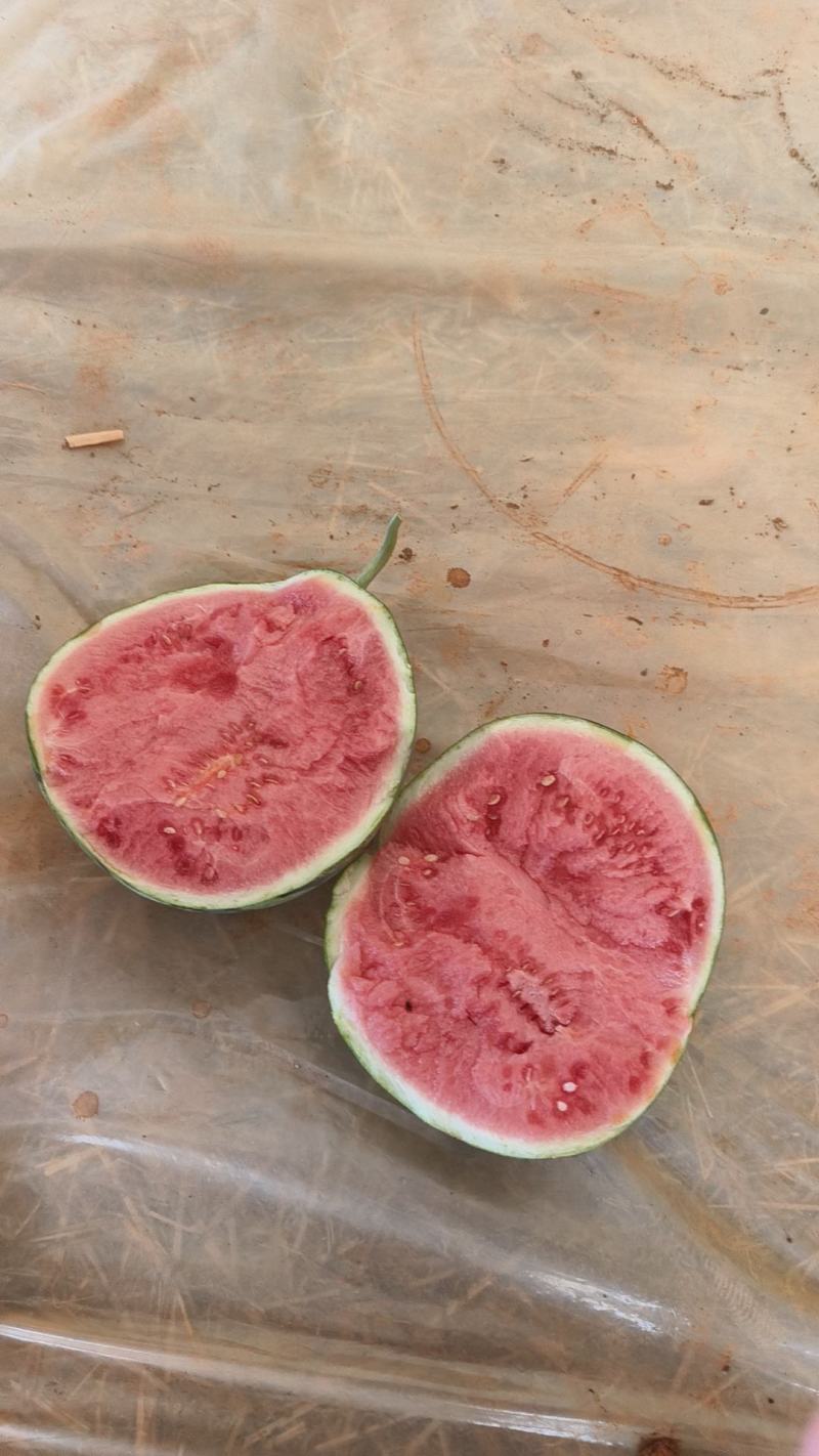 美都