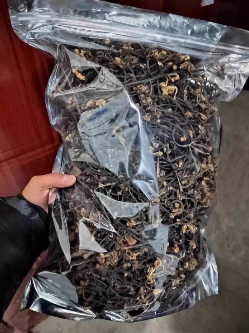云南山地蕨菜干