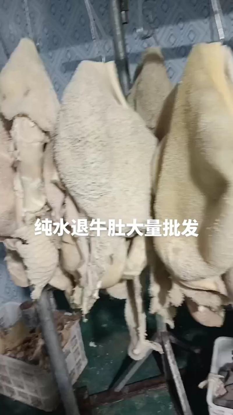 水煮熟牛肚产地一手货源直发品质好价格可谈