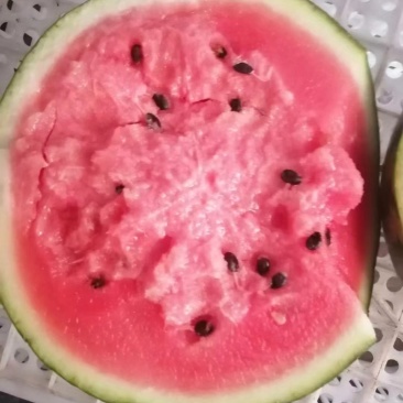 甜王西瓜
