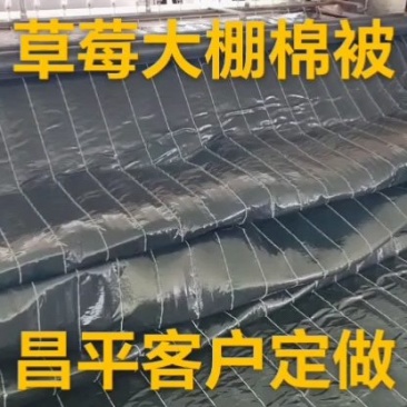 河北任丘大棚棉被厂！订制2米3米4米宽棉被！价格低！！！