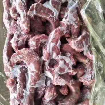 出售种公鸡脖