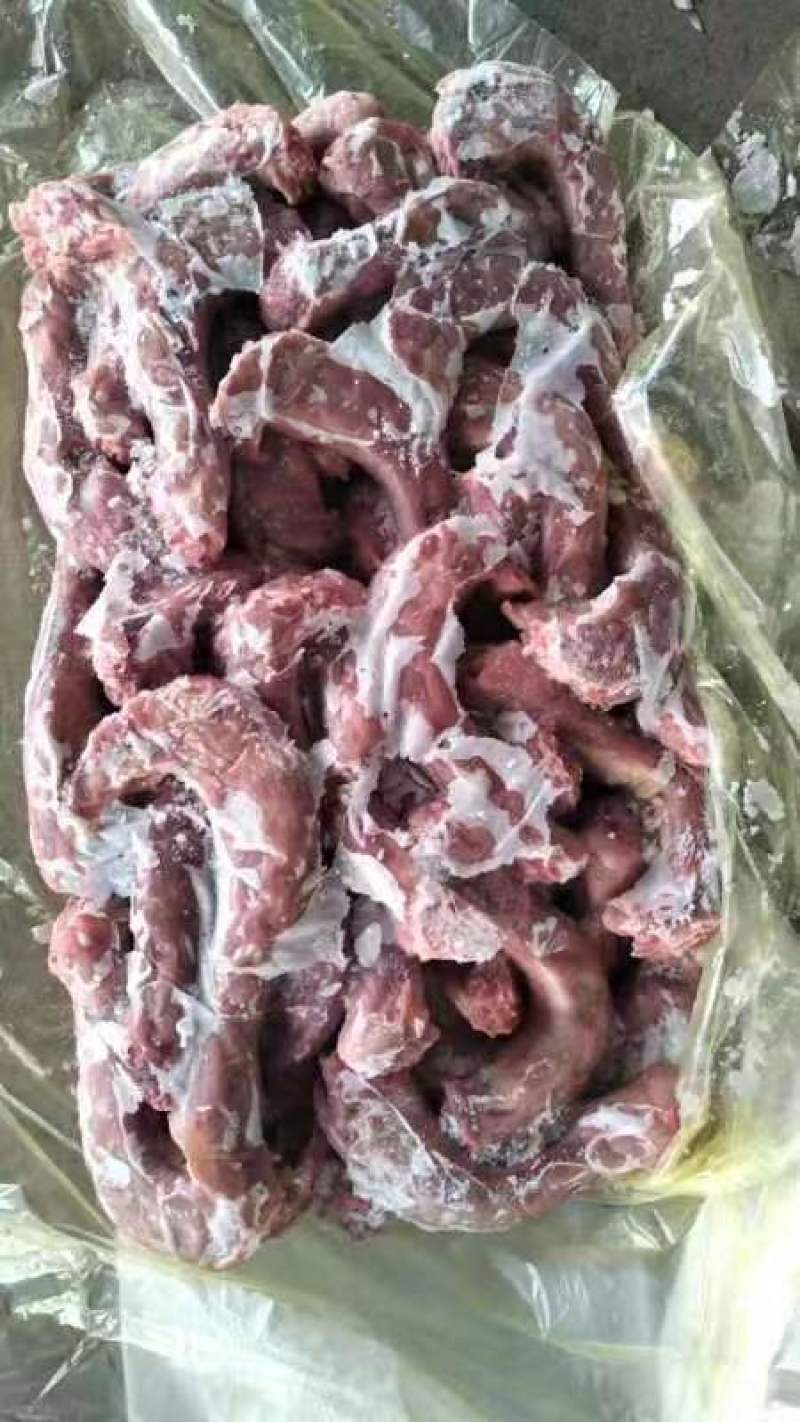 出售种公鸡脖