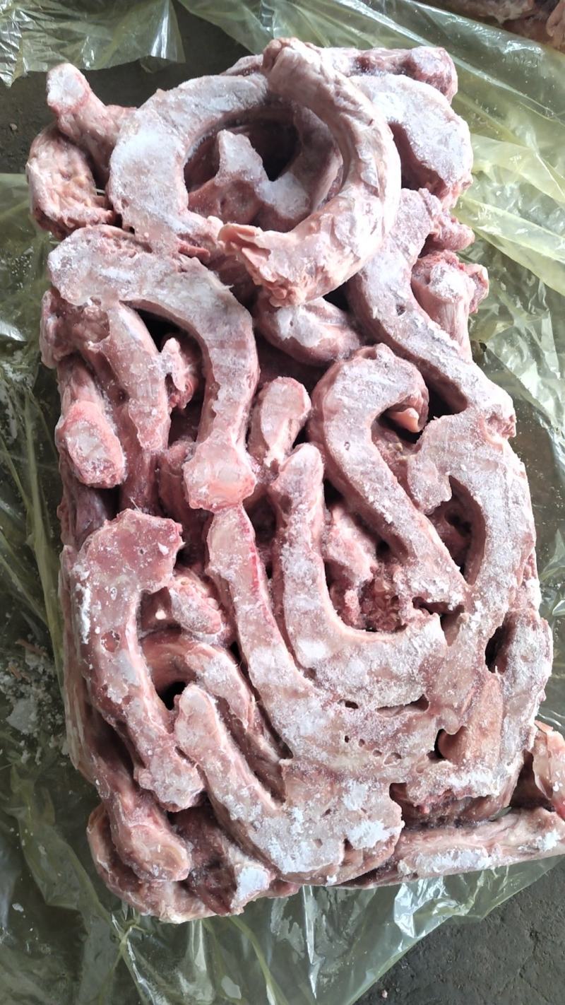出售种公鸡脖