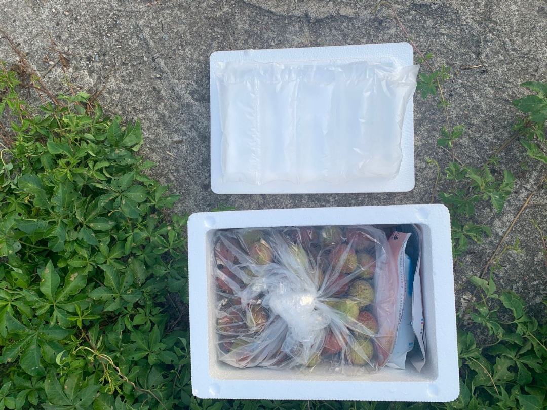 妃子笑荔枝冷藏保存示意图