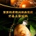 茶叶蛋料包茶蛋料卤料包卤料大全五香卤蛋调料煮蛋调料卤鹌鹑