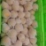 人生果