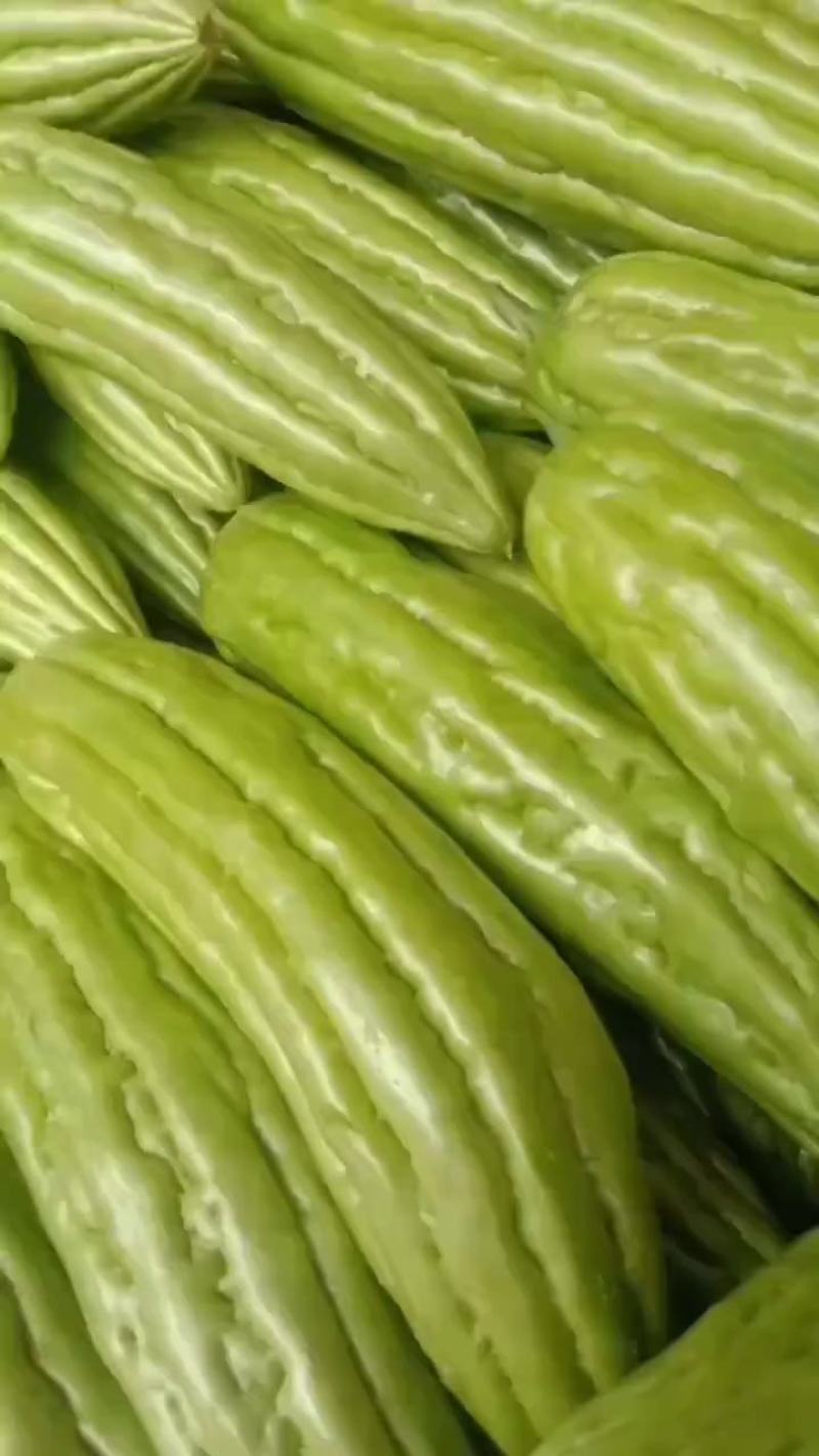 【牛商精品】绿油苦瓜一手货源，大量供应，产地直发