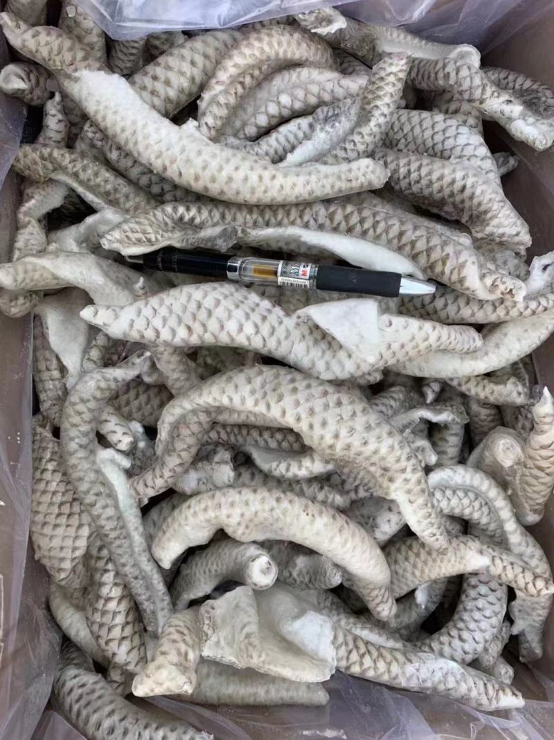 鱼皮