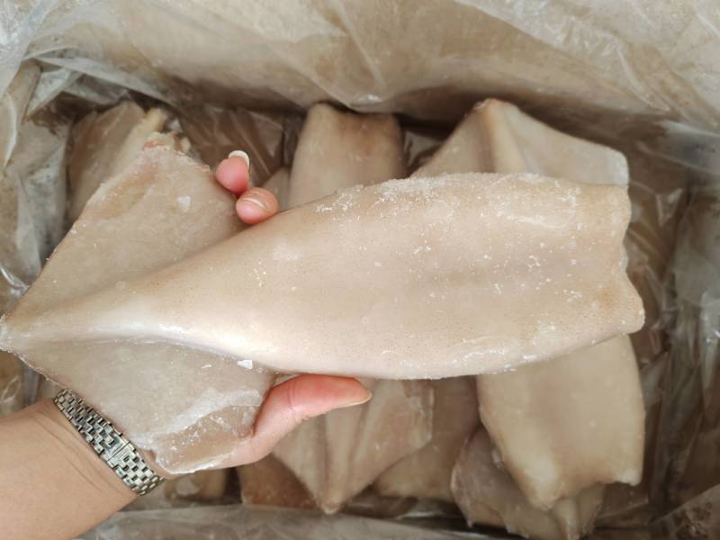 鱿鱼筒鱿鱼头一手货源量大询价