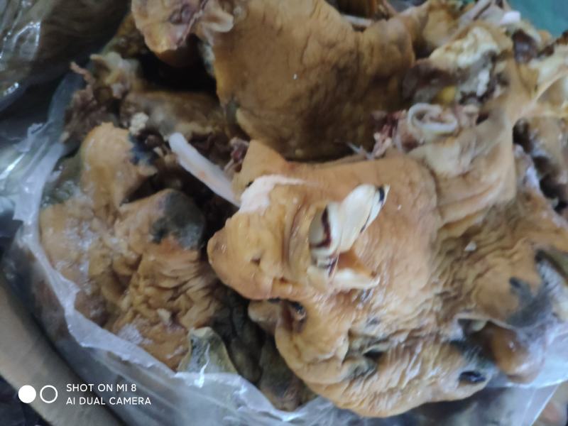 水退羊蹄大量现货，需要老板联系。发货地址，河北石家庄