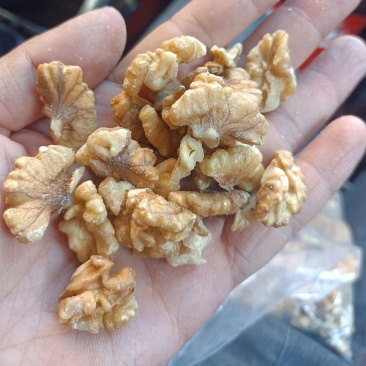 核桃仁，老陈货手选核桃仁处理，量大从优