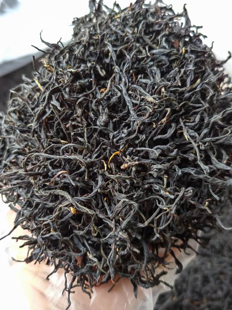 广西大瑶山高山云雾红茶
