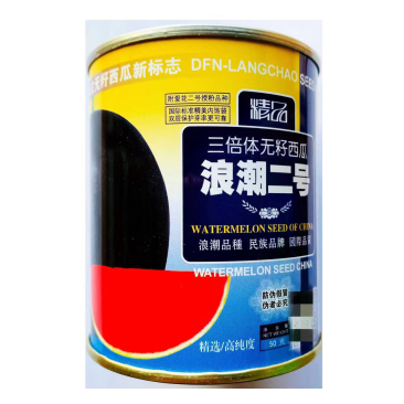 浪潮二号无籽西瓜种子黑皮红瓤去籽种子