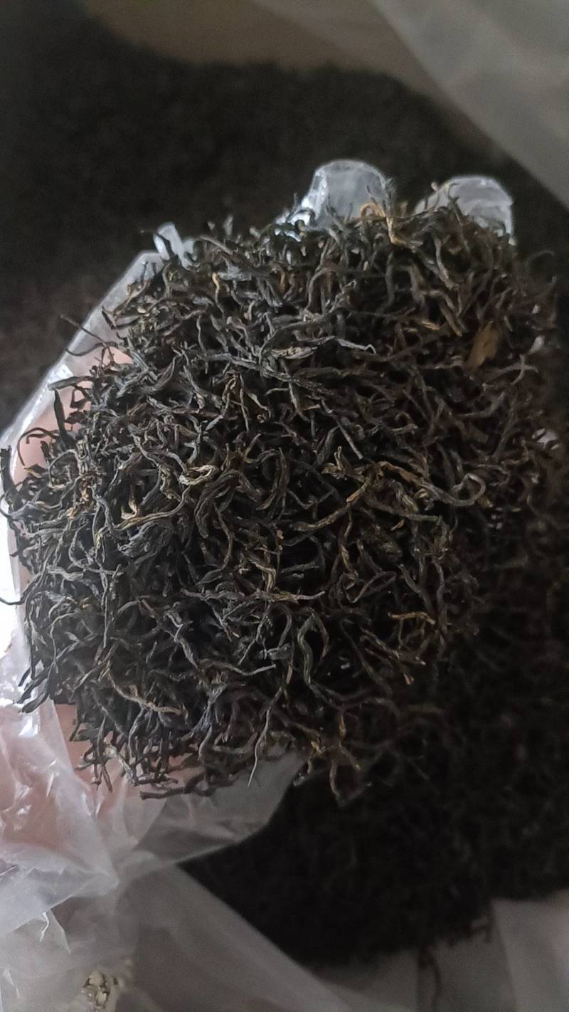 高山红茶金秀大瑶山高山云雾红茶。口感好