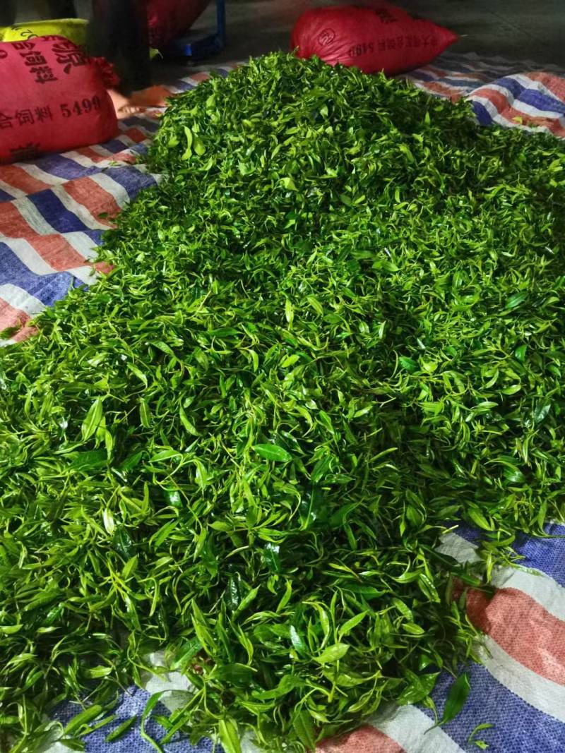 高山红茶金秀大瑶山高山云雾红茶。口感好