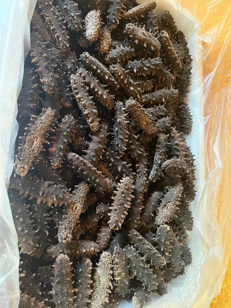 无糖无料纯淡干海参，微电商直播短视频专用
