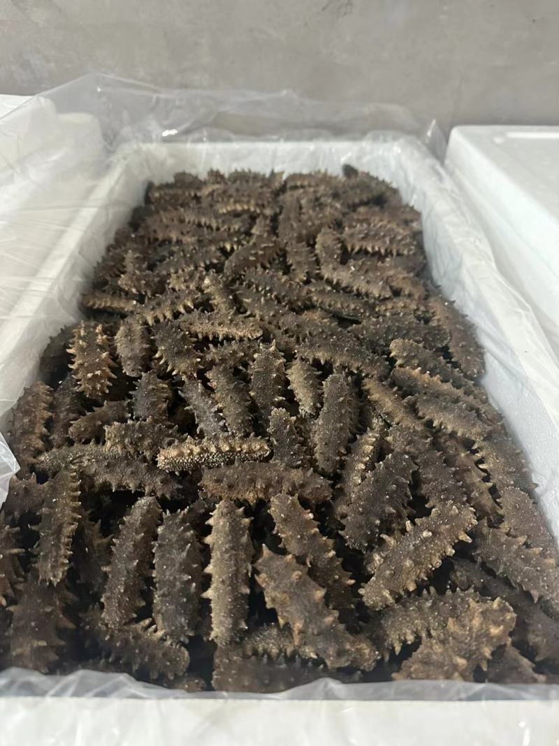 无糖无料纯淡干海参，微电商直播短视频专用