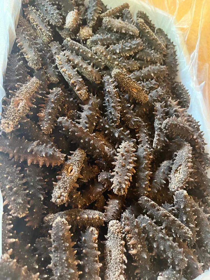 无糖无料纯淡干海参，微电商直播短视频专用