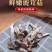 精品精选鹿茸菇干货批发新鲜煲汤好食材