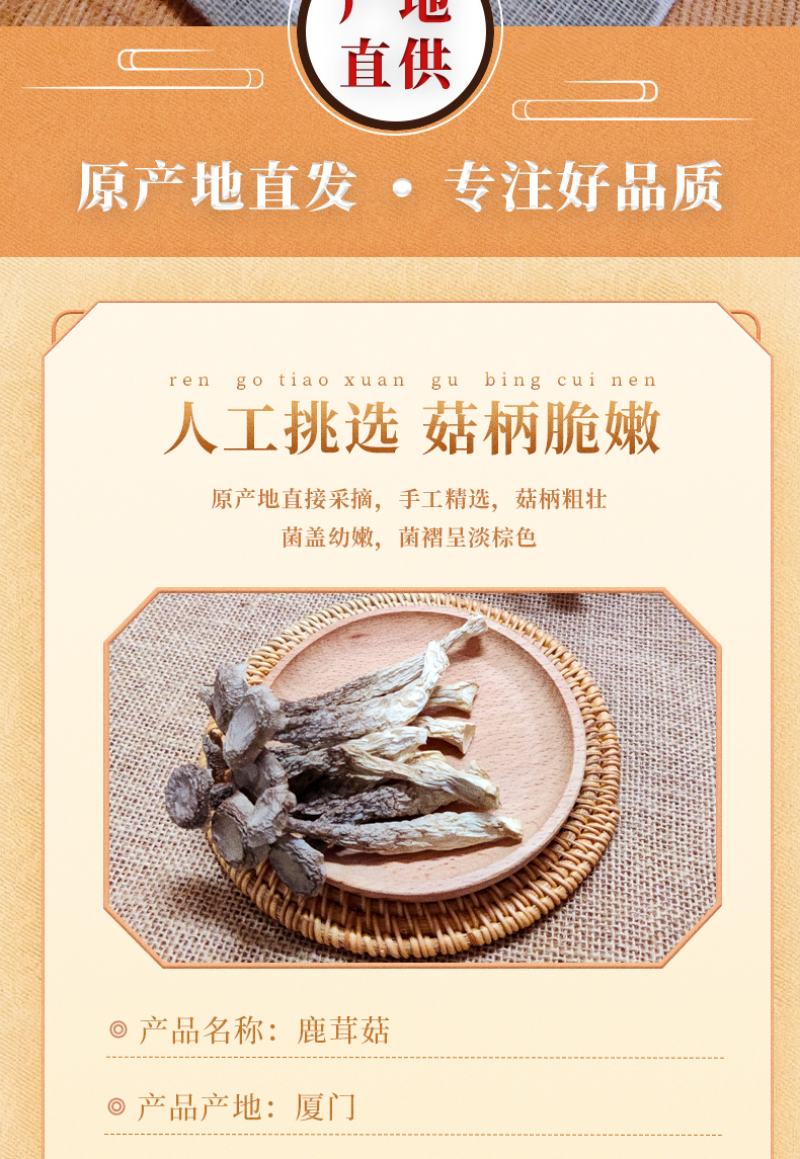 精品精选鹿茸菇干货批发新鲜煲汤好食材