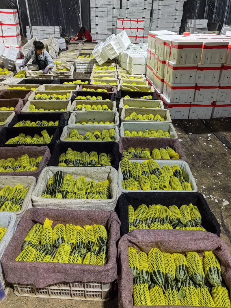 专业对接电商平台、一件代发、社区团购、网红主播带货