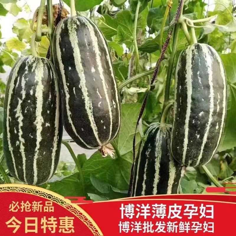 专业对接电商平台、一件代发、社区团购、网红主播带货