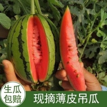 西瓜2k西瓜冰糖子小糖丸礼品西瓜产区直发保质保量