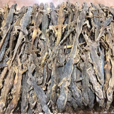 天龙药材中药材晒干中药饮片10g守宫壁虎干壁虎