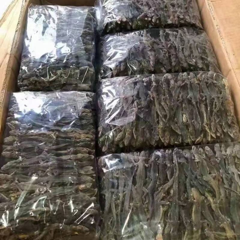天龙药材中药材晒干中药饮片10g守宫壁虎干壁虎