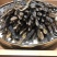 天龙药材中药材晒干中药饮片10g守宫壁虎干壁虎