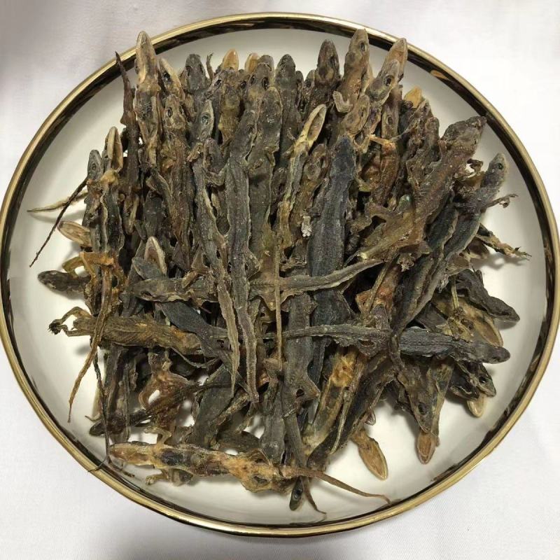 天龙药材中药材晒干中药饮片10g守宫壁虎干壁虎