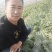 西瓜成熟了，品种是美都，口感纯正甜度高，价格美丽欢迎合作