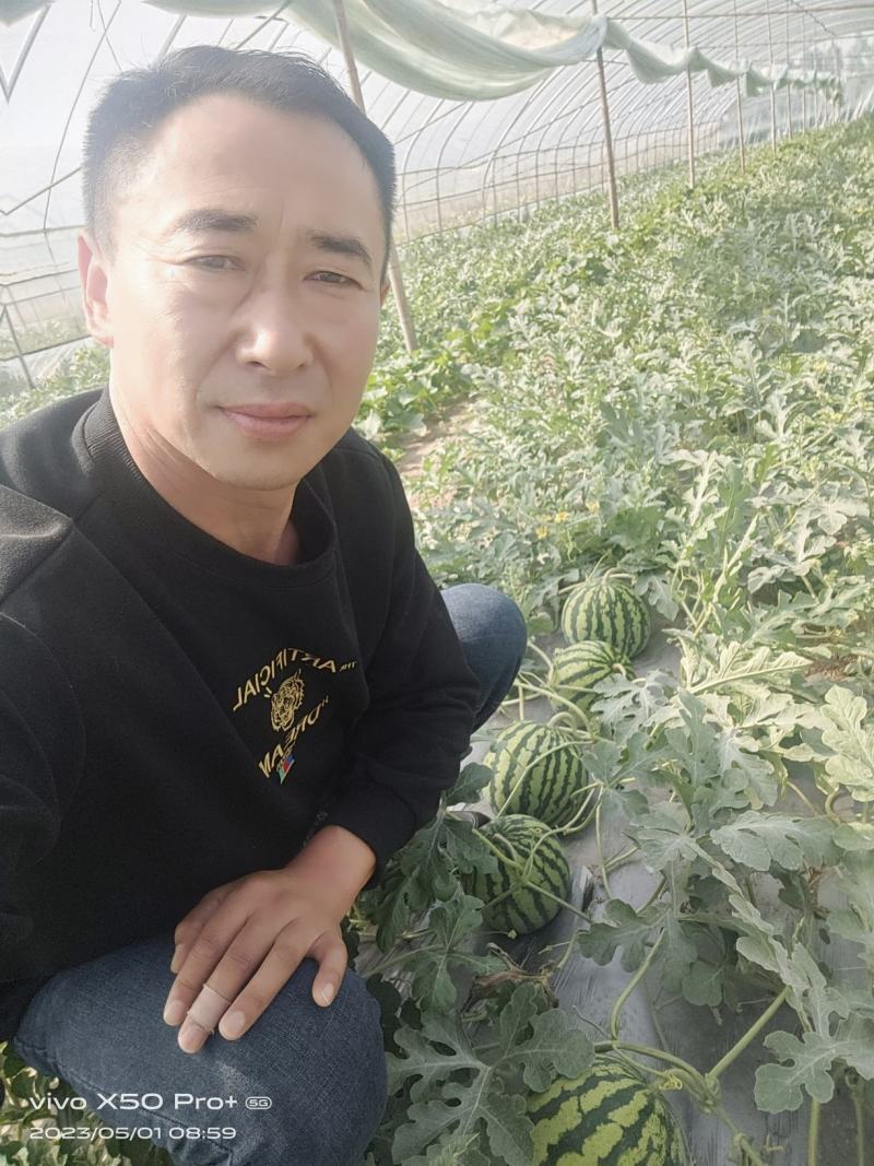 西瓜成熟了，品种是美都，口感纯正甜度高，价格美丽欢迎合作