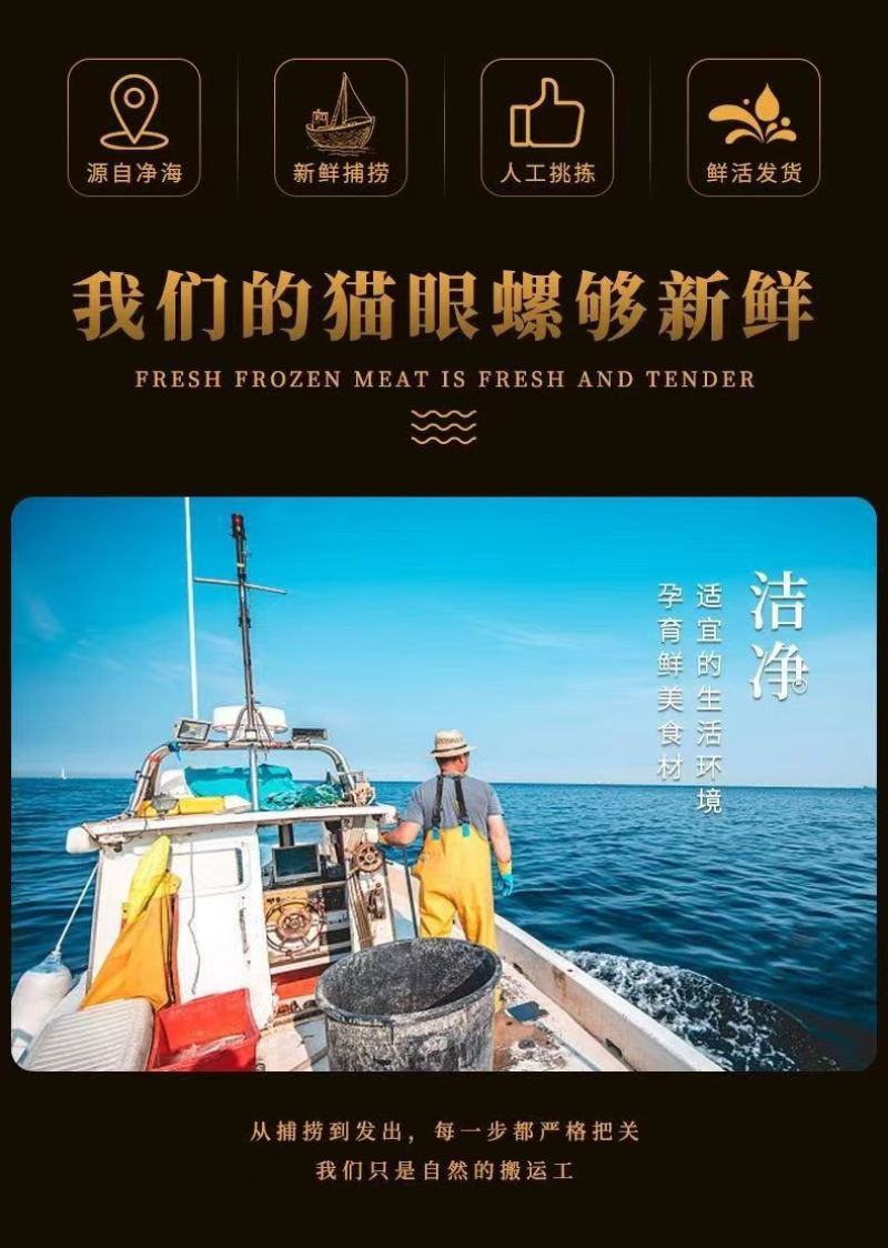 猫眼螺鲜活无泥无沙螺类海产品产地直发