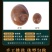 猫眼螺鲜活无泥无沙螺类海产品产地直发