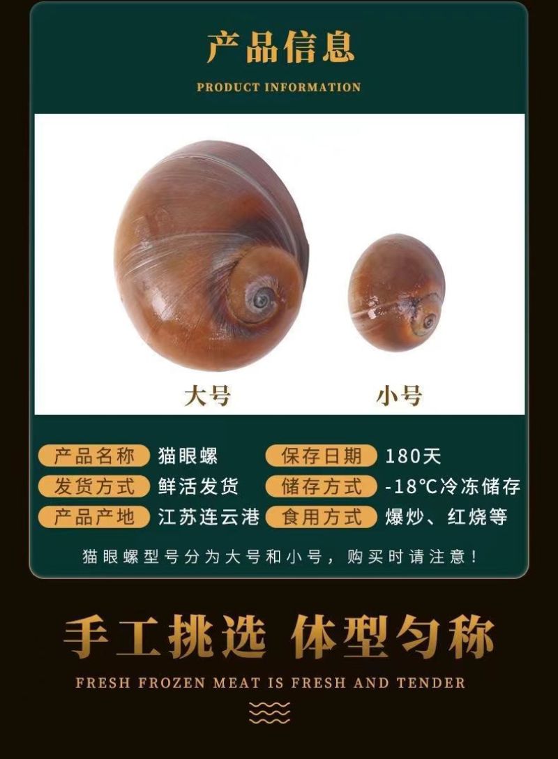猫眼螺鲜活无泥无沙螺类海产品产地直发