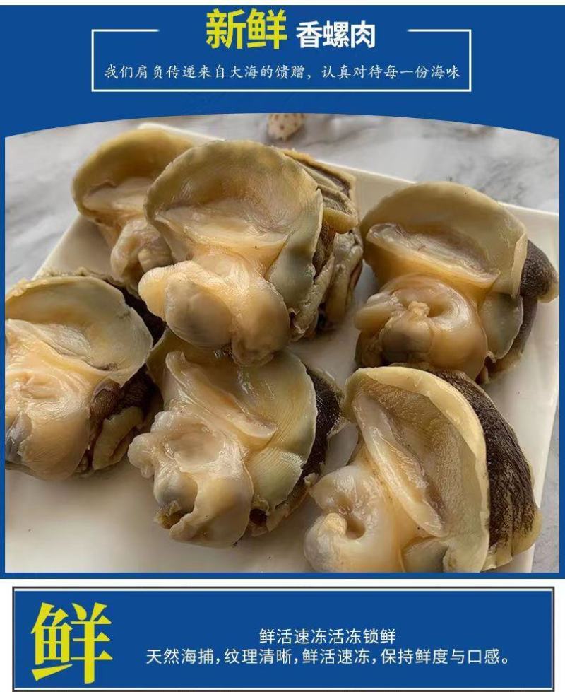 新鲜冷冻玉螺肉去内脏深海水产贝类海螺肉海螺肉商用批发