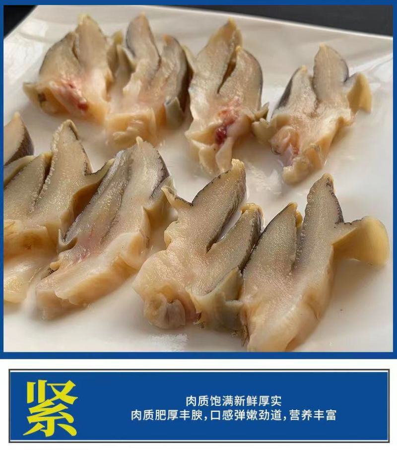 新鲜冷冻玉螺肉去内脏深海水产贝类海螺肉海螺肉商用批发