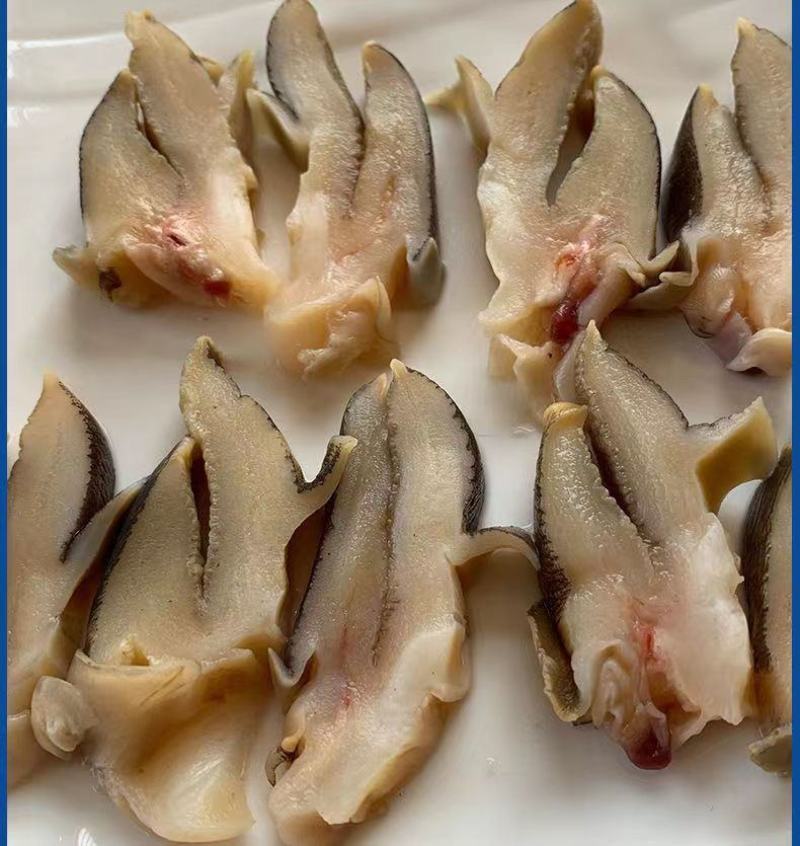 新鲜冷冻玉螺肉去内脏深海水产贝类海螺肉海螺肉商用批发