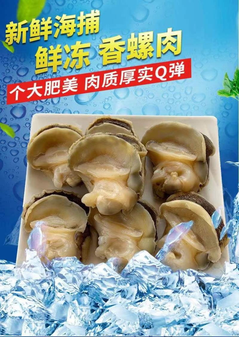 新鲜冷冻玉螺肉去内脏深海水产贝类海螺肉海螺肉商用批发